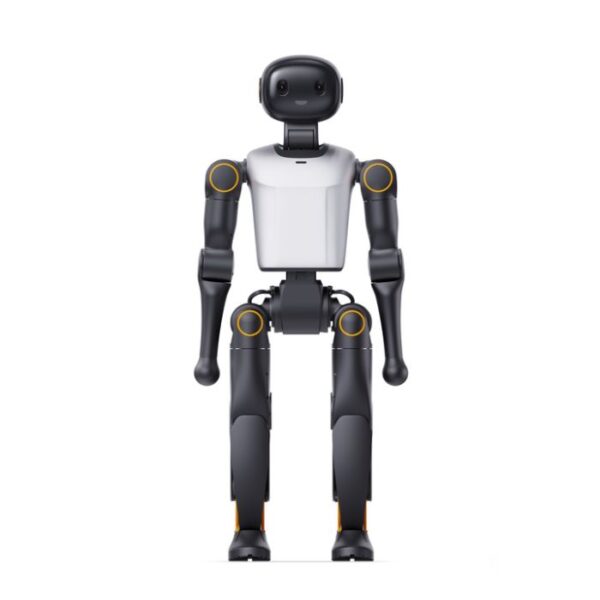 Booster K1 Professional Humanoid Robot