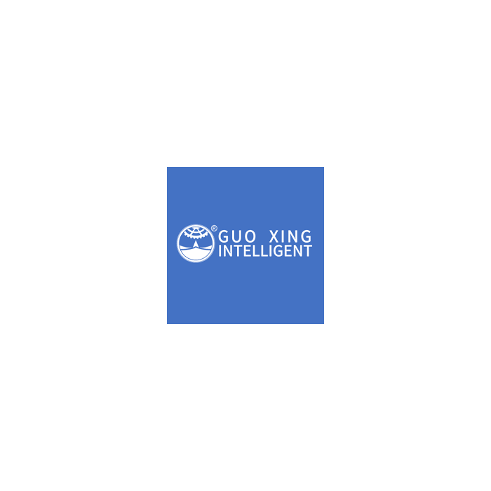 Guo Xing Driver 4875 (4875)
