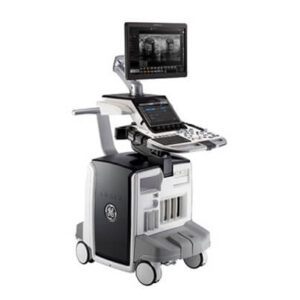 GE Logiq E10